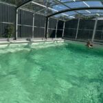 Medium Profile Pool Enclosure