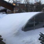 Dome Profile Pool Enclosure